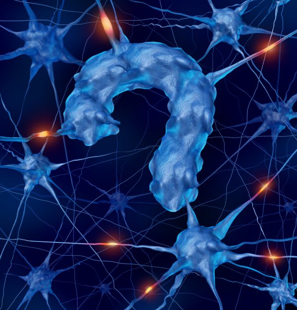 Brain-question