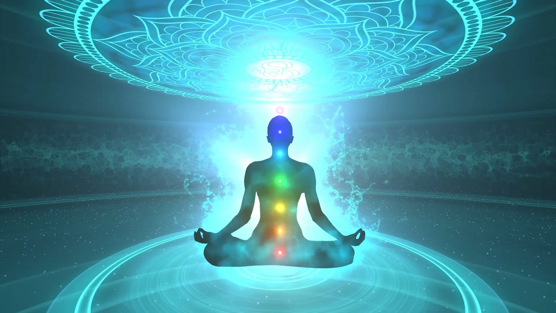 The Zero Point Energy Field