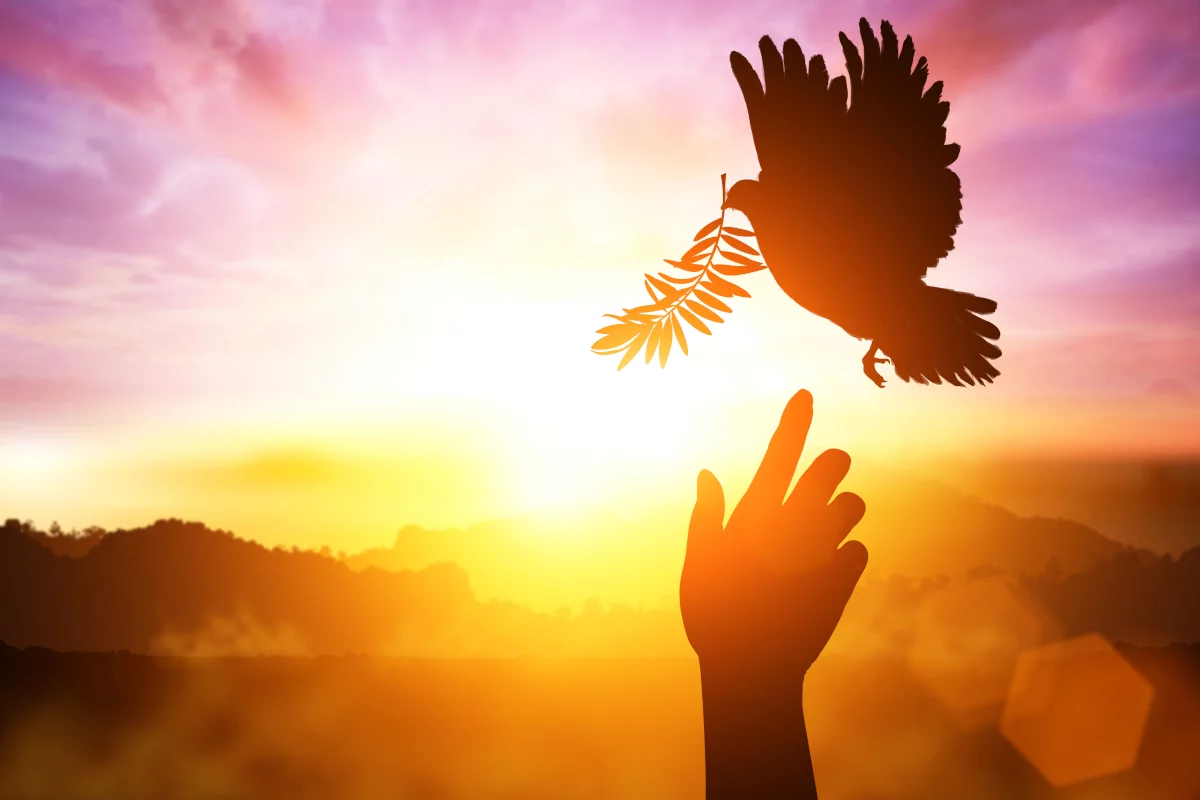Lightworker Membership