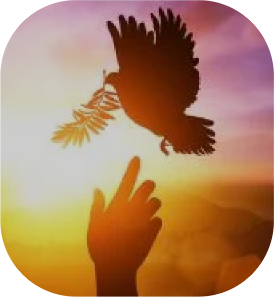 moudule-2-awaken-image